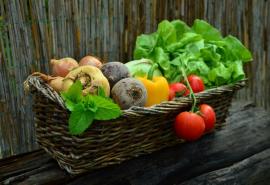 Paniers de légumes frais