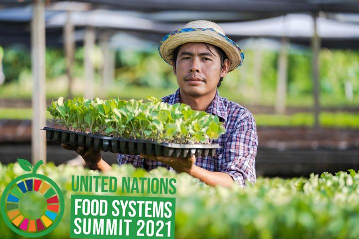 food systems summit 2021